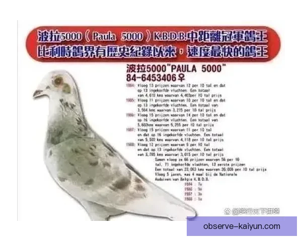 百年荣耀与重生之路：普鲁士门兴格拉德巴赫俱乐部传奇纪实全景篇