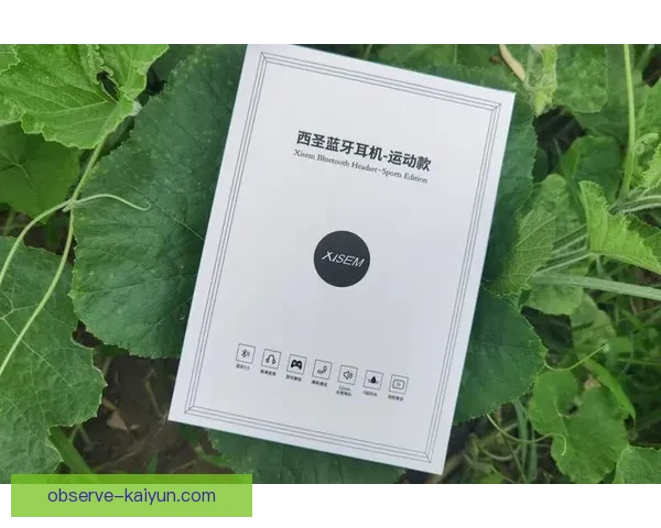 开云体育下载安装指南详解助力用户轻松体验全新运动服务