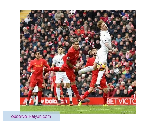 斯旺西俱乐部崛起之路：从低谷到英超的奋斗历程与未来展望